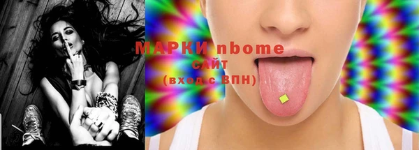 мдпв Бородино