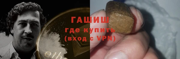 мдпв Бородино