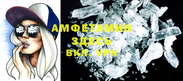мдпв Бородино