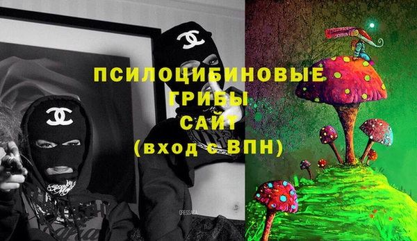 мдпв Бородино