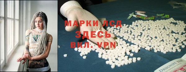 мдпв Бородино