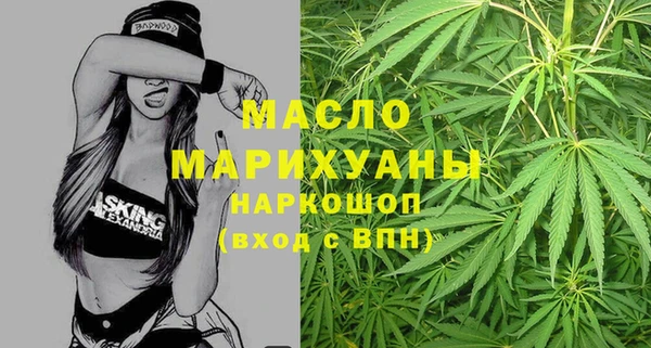 мдпв Бородино