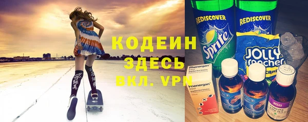 мдпв Бородино
