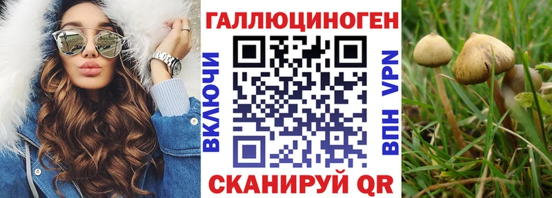 сколько стоит  Армавир  Псилоцибиновые грибы ЛСД 